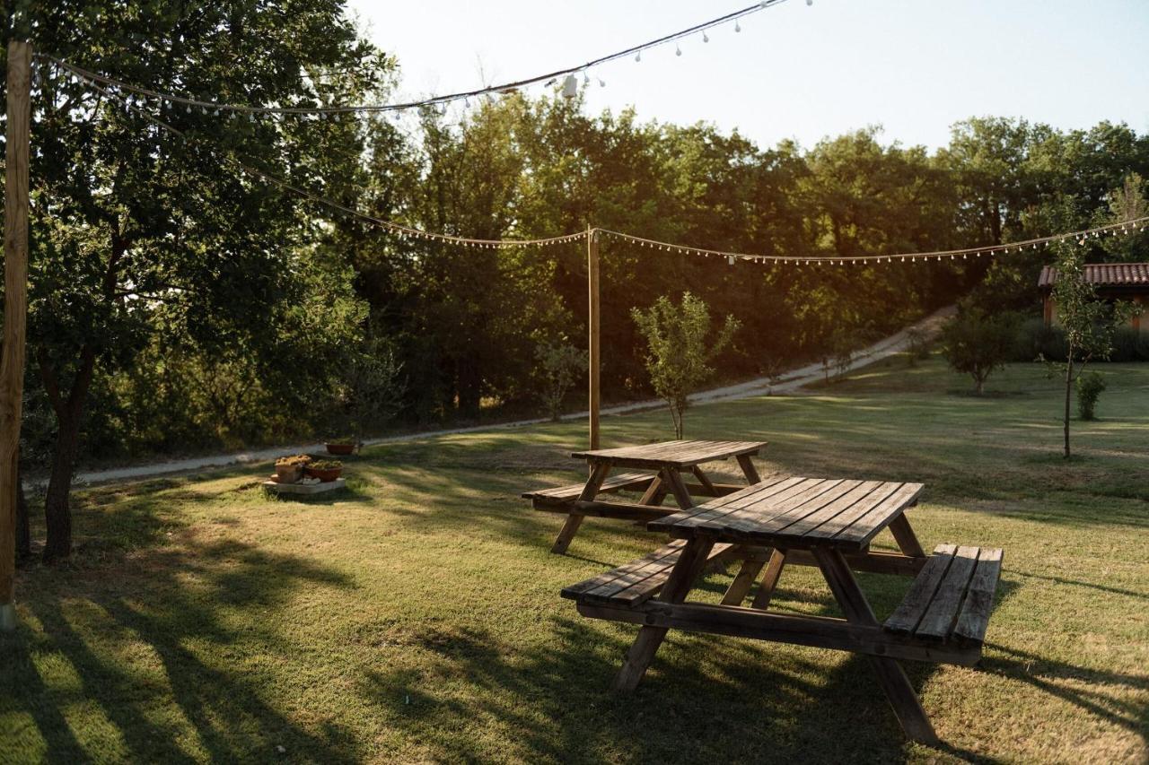 Valle Del Lupo Country house