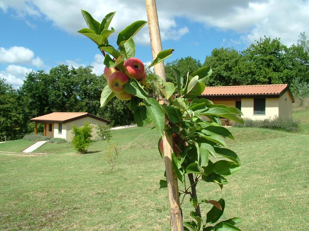Valle Del Lupo Country house *